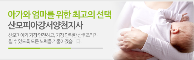산모피아강서양천지사_이미지m